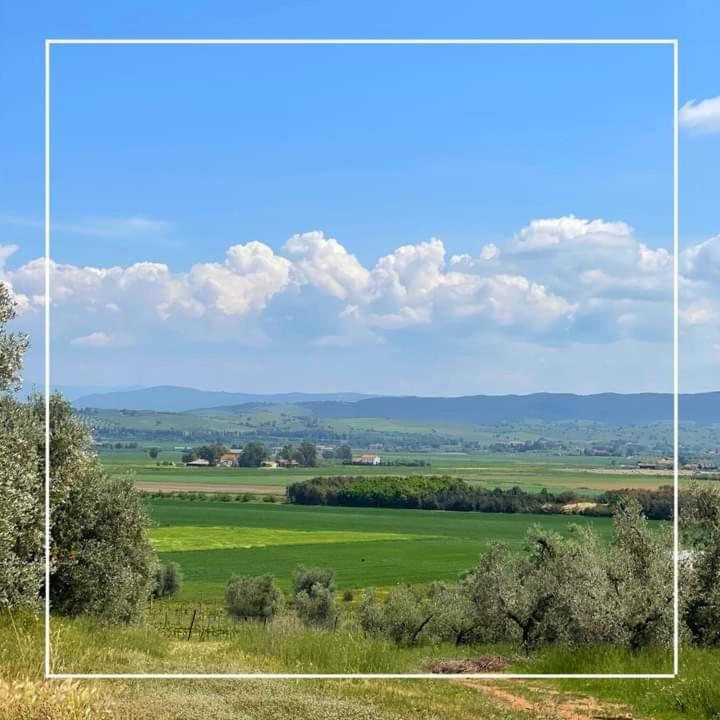 Agriturismo I Grappoli Alberese Exteriér fotografie